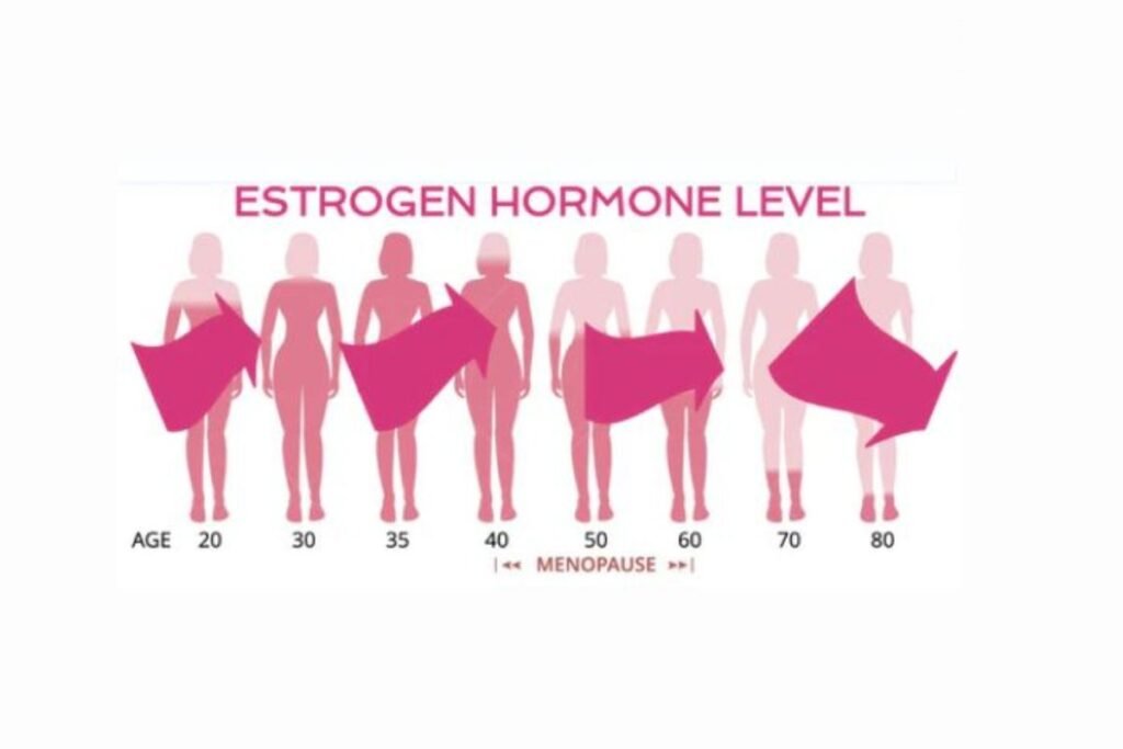 Hormonal Imbalance and Weight Gain Cycle